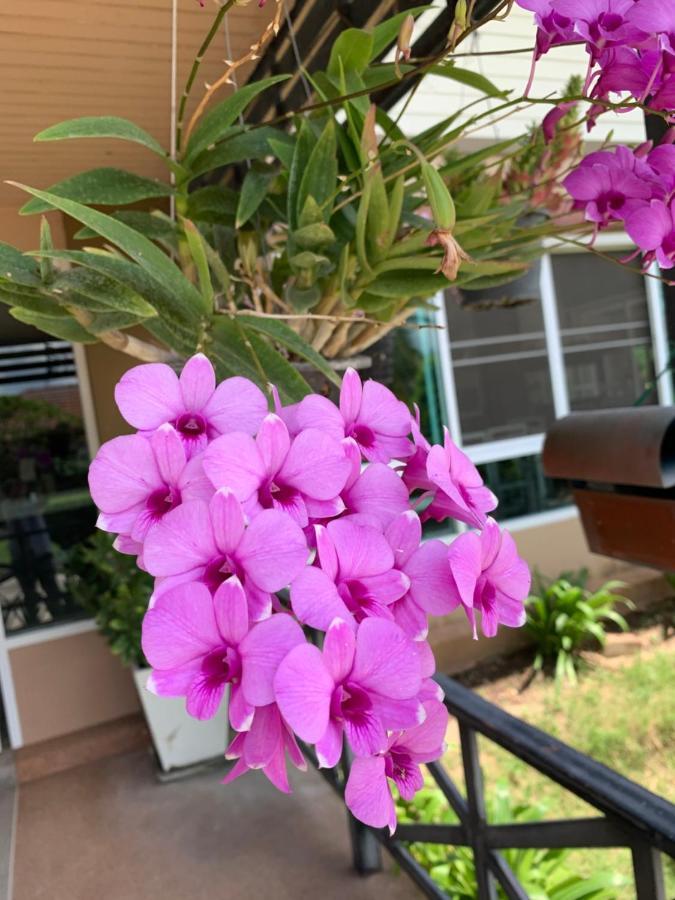 Hotel The Orchid House Nong Kung Yai Zewnętrze zdjęcie