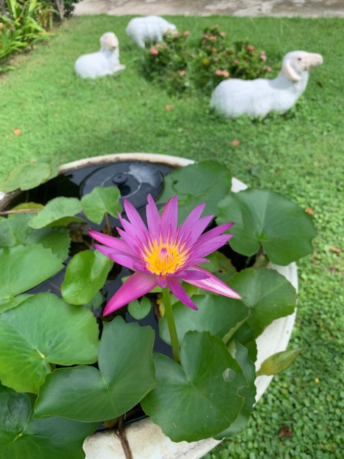 Hotel The Orchid House Nong Kung Yai Zewnętrze zdjęcie